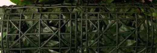 Valla seto artificial Thuya